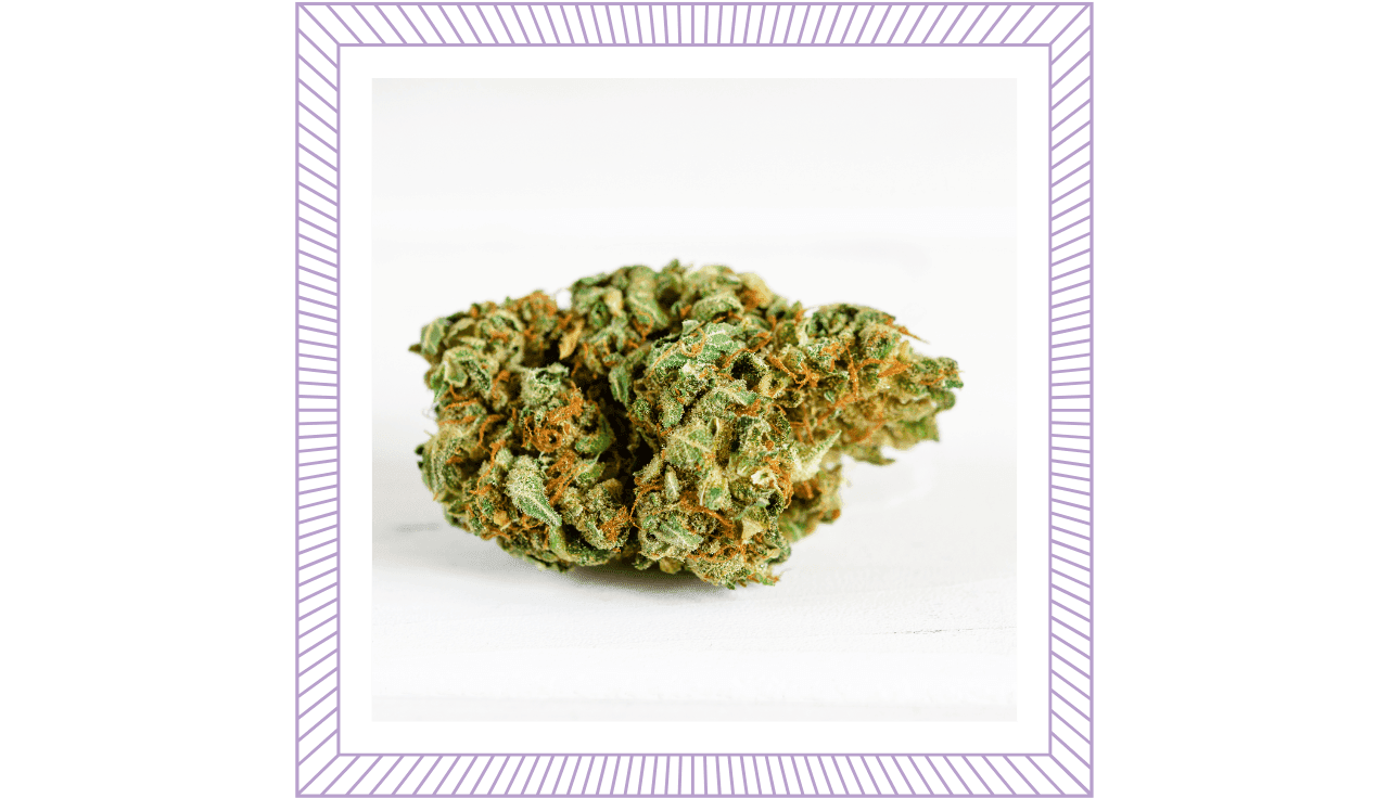 Cannabis Blüte auf weißem Hintergrund mit lila Rahmen